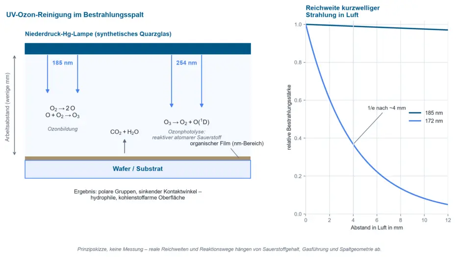 Querschnitt der UV-Ozon-Reinigung: Niederdruck-Quecksilberlampe über einem Wafer, Ozonbildung bei 185 nm, Ozonphotolyse zu reaktivem Sauerstoff bei 254 nm, Abbau des organischen Films zu CO2 und H2O; daneben ein Diagramm der Reichweite von 172-nm- und 185-nm-Strahlung in Luft